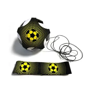Ball Control Training
