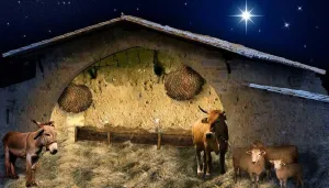 Christmas Stable  Backdrop