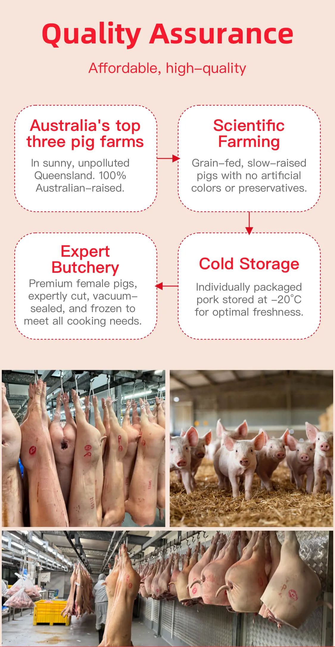 Frozen Pig Tongue - 500g