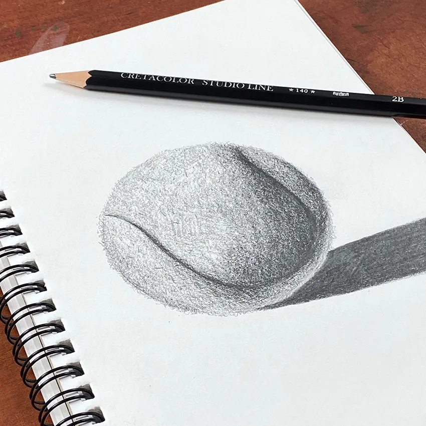 Graphite Drawing of Shading & Texture 01 | Printable Art Lesson Plan | Downloadable