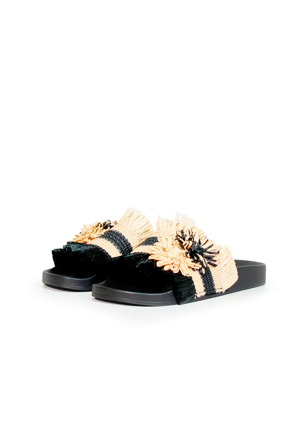 Migjorn | Black Vanilla