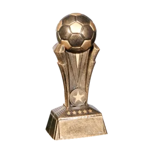 Soccer Champion Award