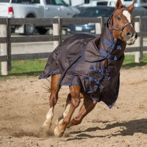 TK21200-75-Nvy/Brn Winter Turnout w/Hood - Diablo